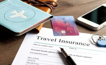 Travel Insurance Cost