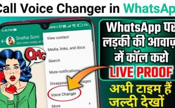 Voice Changer